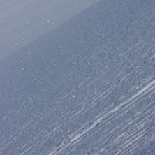 Den h&auml;r sn&ouml;n smakade gott!. Photo: Mikael Thorn.