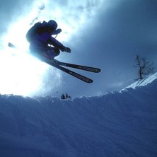 Photo: Patrik Gun&eacute;. Rider: Anders Bj&auml;reg&aring;rd.