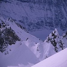 Photo: Anders Lundin. Rider: Roger Hj&auml;lm.