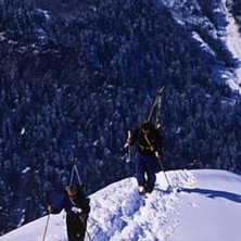 Photo: Anders Lundin. Rider: Niclas Ferin &amp;amp; Fredrik Gustavsson.