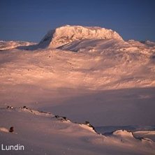 Photo: Anders Lundin. Rider: Helena Ljungman.