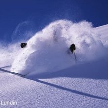 Photo: Anders Lundin. Rider: Roger Hj&auml;lm.