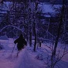 Photo: Henrik Lindstr&ouml;m. Rider: Andreas Olevik.