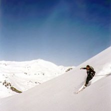 Photo: Michael Malmros. Rider: Anna Berggren.