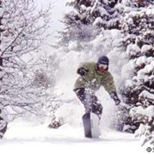 Photo: Stefan Brod&eacute;n. Rider: Clovis.