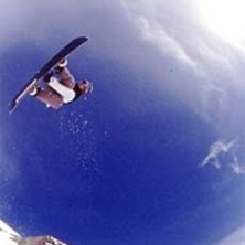 Photo: Stefan Brod&eacute;n. Rider: Ryan.