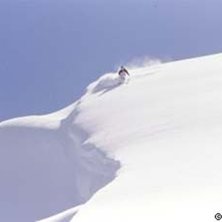 Photo: Stefan Brod&eacute;n. Rider: Dave.