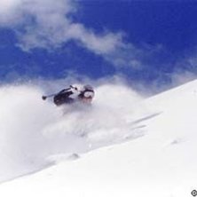 Photo: Stefan Brod&eacute;n. Rider: Steve.