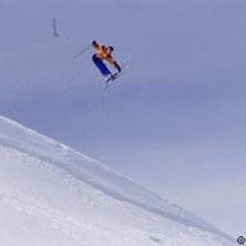 Photo: Stefan Brod&eacute;n. Rider: Tavis.