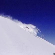 Photo: Stefan Brod&eacute;n. Rider: Steve.