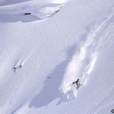 Photo: Stefan Brod&eacute;n. Rider: Steve.