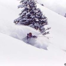 Photo: Stefan Brod&eacute;n. Rider: Kevin.