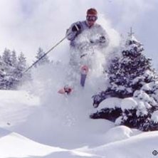 Photo: Stefan Brod&eacute;n. Rider: Kevin.