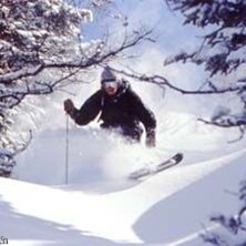 Photo: Stefan Brod&eacute;n. Rider: Steve.