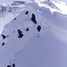 Photo: Stefan Brod&eacute;n. Rider: Loui.