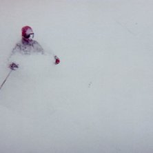Photo: James Gay. Rider: august von Sydow.