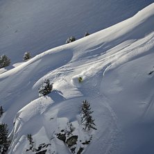 Foto: Rikard Landrin. Photo: Rikard Landrin.