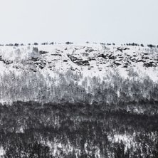 Akta diket n&auml;r ni beundrar r&auml;nnorna fr&aring;n v&auml;gen. Photo: Petter Elfsberg.