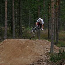 Photo: Nick Djupsj&ouml;. Rider: Anders Solin.