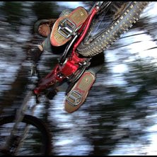 Photo: Jacob Gustafsson. Rider: Henrik Hvitfeldt.
