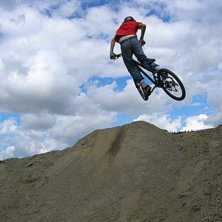Whip. Photo: Dahlgren. Rider: JEppe.