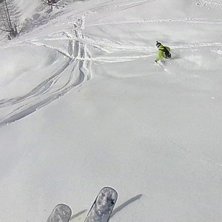 Photo: &Aring;berg. Rider: Dahlberg.