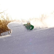 Photo: Max Larsson. Rider: Jonas Ernevi.