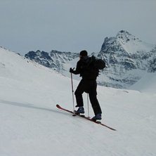 Photo: B. R&oslash;nnestad. Rider: L. Jansson.