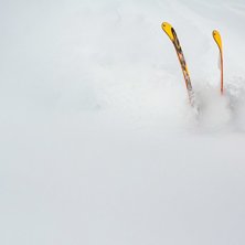 Men va&amp;#039; fan. Photo: Anders Klapp. Rider: Fredrik Quistgaard.