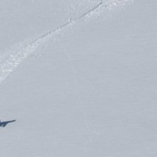 Photo: Bo Liljefors. Rider: Joakim persson.