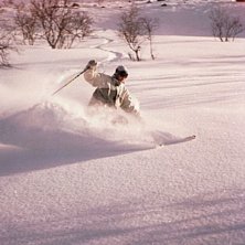 en fin dag i bj&ouml;rnrike.... Photo: Bengt Luthman. Rider: Bj&ouml;rn &Aring;ngman.