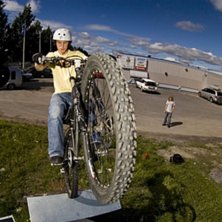 Abobaka p&Atilde;&yen; elsk&Atilde;&yen;p. Photo: Johan Wennerstr&Atilde;&para;m. Rider: Jens Nystr&Atilde;&para;m.