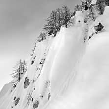 Photo: Pics by pewe. Rider: Niklas Taube.