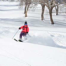 en timmes g&aring;ng, klart v&auml;rt. Indien gulmarg kashm. Photo: Mats Westin. Rider: Felicia Vestin.
