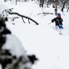 Just n&auml;r jag trott att puderbilderna skulle bli o. Photo: Emrik Jansson. Rider: Joni Lidberg.