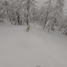 Le Foyer - n&aring;gonstans lite mer skiers left i skog.