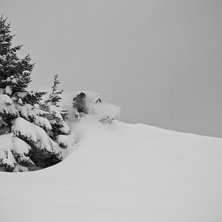 Photo: Peter Vahlfridsson. Rider: Ludvig Yttergren.
