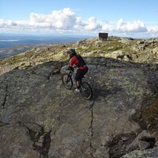 Photo: M.St&aring;l Sj&ouml;berg. Rider: Per Jonsson.