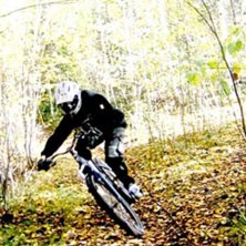 H&ouml;stl&ouml;v. Photo: Alexander Br&auml;nnk&auml;rr. Rider: Bj&ouml;rn Yrjans.