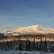 Tagen fr&aring;n &Aring;re Bj&ouml;rnen &ouml;ven &Aring;reskutan en tidi. Photo: Klas Emanuelson. Rider: &Aring;reskutan.