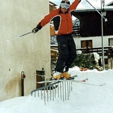 Photo: Elin Gustavsson. Rider: Carl-Magnus Forslund.
