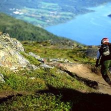 Photo: Mattias Fredriksson. Rider: Janne Tj&auml;rnstr&ouml;m.