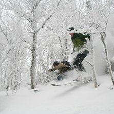 Joel och Linus k&ouml;r genom n&aring;gra granar.. Photo: Peter Karlbom. Rider: Joel Nystr&ouml;m, Linus Bj&ouml;rk.