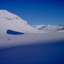 Photo: Fredrik Johansson. Rider: Sam.
