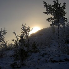 En tidig November morgon, solen k&auml;mpar f&ouml;r att n. Photo: Emma Karvonen.