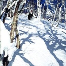 Photo: Stefan Karlberg. Rider: David Kantemo.