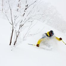 Dennis Rajden Foto - Japan Powder Incredibles Amaz.