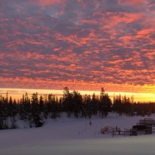 En morgon i Lindvallen.. Photo: Ther&eacute;se Kjellgren.
