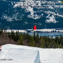 Photo: Patrik L&ouml;fgren. Rider: Zebastian Landmark.