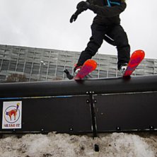 Photo: Hedda Berander. Rider: Gabbe Ofarlig.